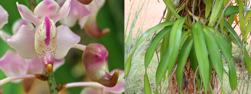 Tsenzurasiz boglangan yigitlar ishtirokidagi rus pornosi