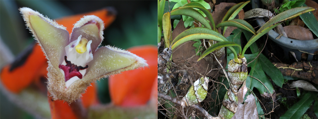 Pubik qismida yurak zarbi bolgan porno aktrisa Porno erotik dunyo